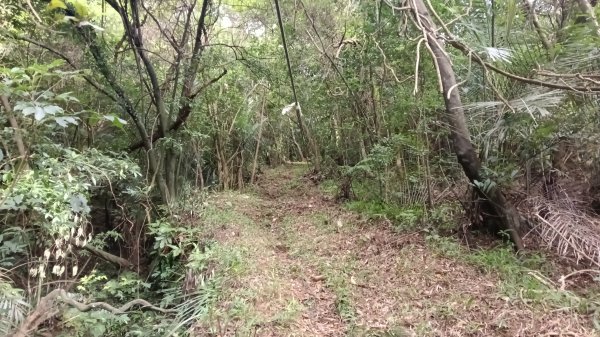 月眉洞步道-仙洞湖山未果3115491