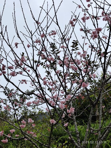 台北國軍英雄館→宜蘭縣員山鄉燈篙林道→礁溪郷潭酵天地觀光工廠→冬山鄉田老爺餐廳2712014