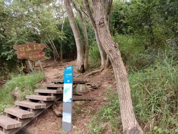 造橋鄉口山步道(老庄山+菜瓜窩山+造橋口山)2933694