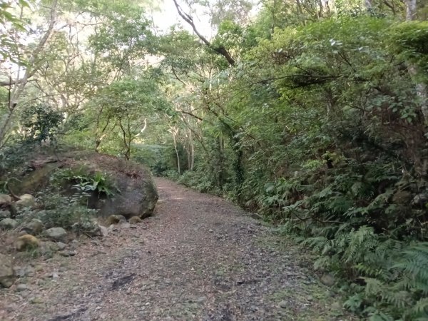 頭城鎮龜山車站+北關山豬線+叢雲山+梗枋古道出龜山車站O型3007595