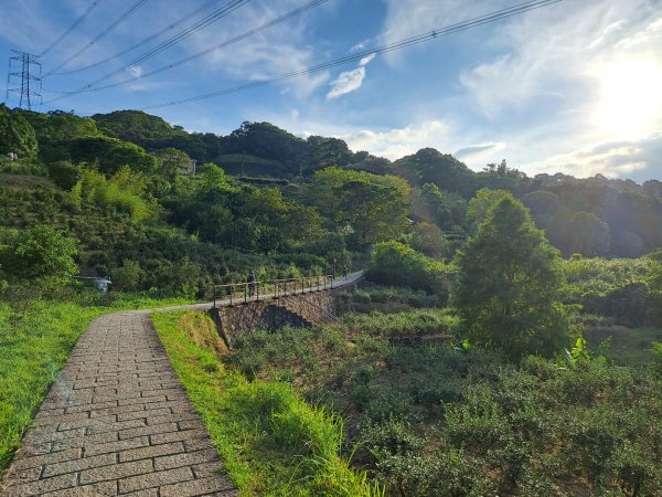 2026微笑山線樟樹步道3103325