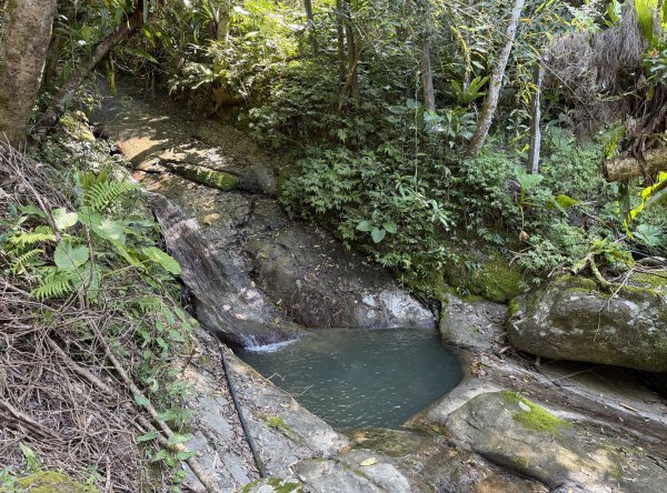 [淡蘭古道] 2026_0315 南路第三段_四分子古道3016923
