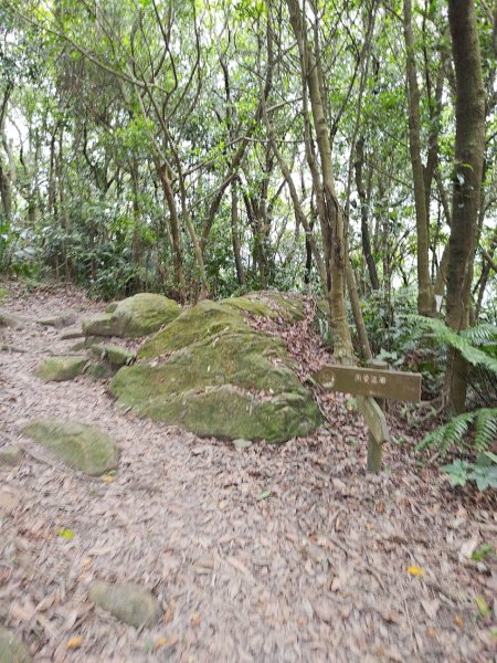 臺北大縱走第四段 風櫃口至中華科技大學2774226