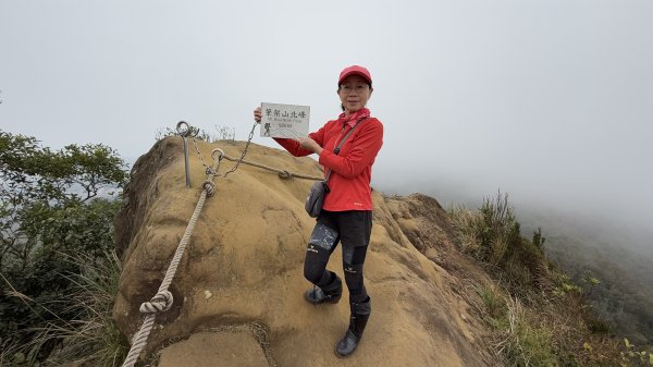 上上又下下的筆架連峰|西帽子岩|炙子頭山|峯花雪月2691190