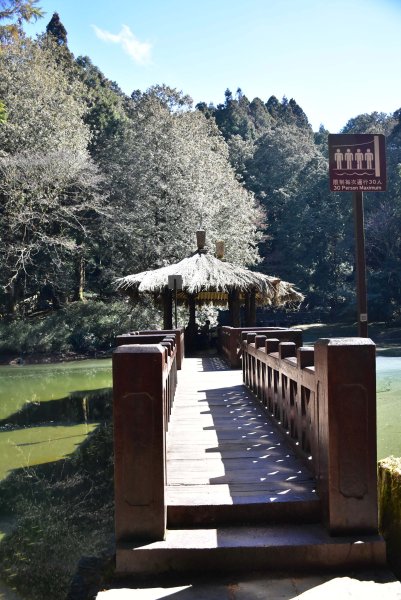 20260207阿里山健行追公車3010593