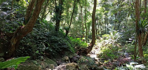 108.08.17 三峽  雲森瀑布654742