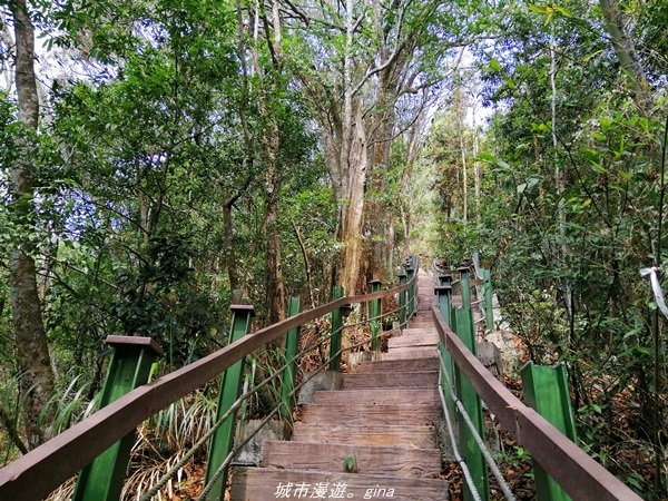 【南投。魚池】虐腳的陡上階梯。 小百岳集起來。 編號52小百岳~後尖山