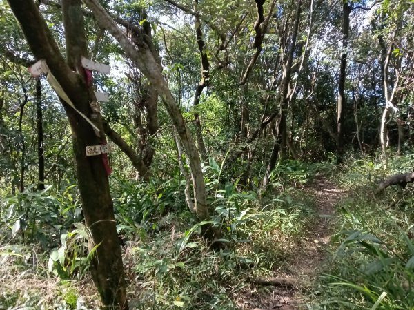 基隆市/萬里區界寮縱走之三界山+三界山西峰+開眼尖山+七分寮山+瑪七產道山泉水接水亭2979568