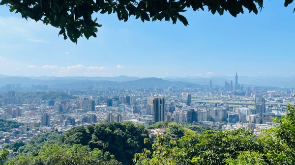 金面山親山步道2867833