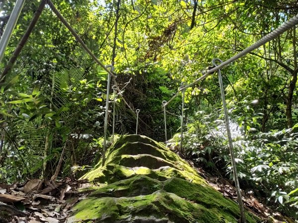 埋伏坪登山步道1750020