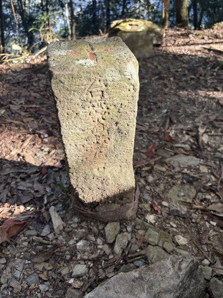 20251207藤枝山步道2957638