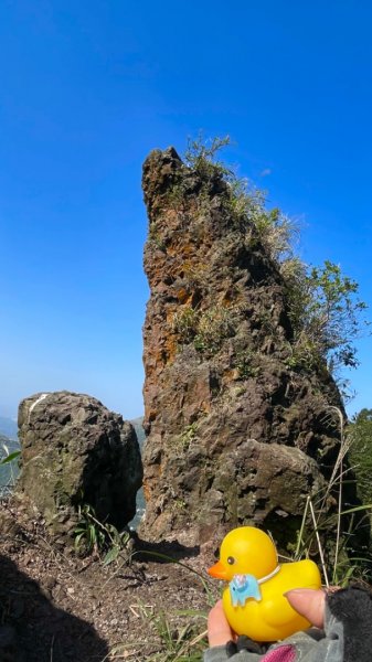 黃金博物館-一柱擎天-半平山-燦光寮山-地質公園-黃金神社-黃金博物館2363111