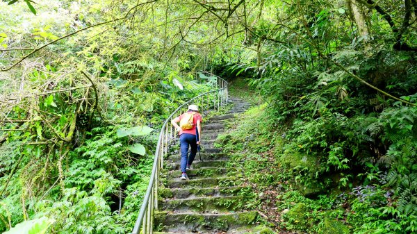 微笑山線銀河洞越嶺段2852817