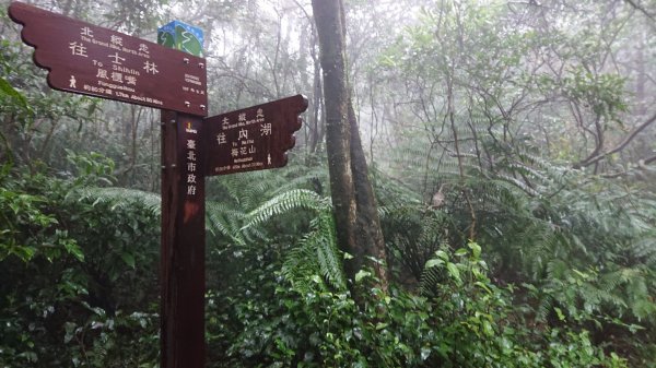 北縱走~風櫃口→大溝溪(12字完成集字)505297