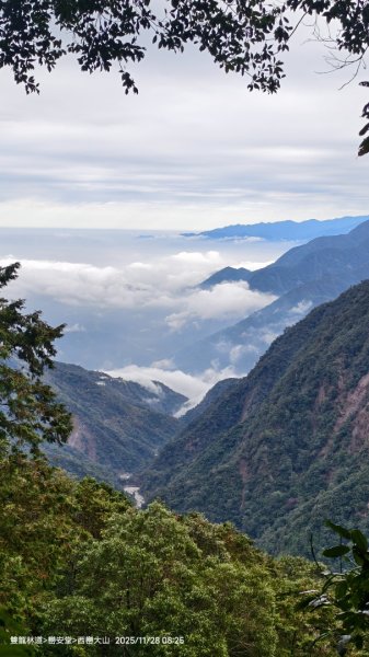 114.11.28-29 雙龍林道~巒安堂~西巒大山2954856