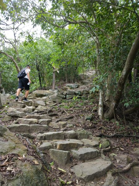 內湖金面山之旅358341