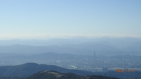秋高氣爽芒花季再度陽明山天際線-七星山主東峰+大屯山主南西峰向天面天山O型+小觀音山主西南峰共10峰1511068