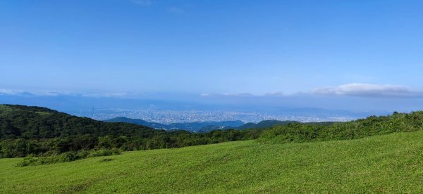 20230527 風櫃嘴-魚路古道-金山2252688