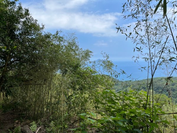 20230821_烏山-外澳古道2762707