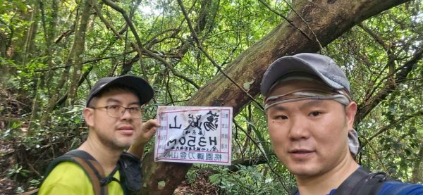 20260417白石下山-金山西峰-蕩跋山-劉家界山-老社寮山-新富山O行3041747