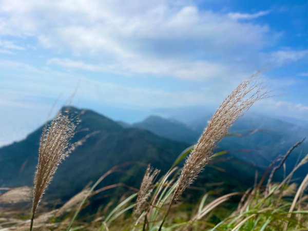 雪山尾稜-福卯古道-隆隆山-隆林山-田寮洋山-福隆O型2653749