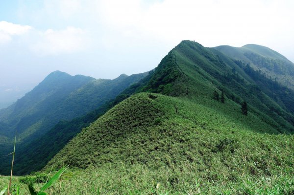 小觀音山主峰下竿尾崙572378