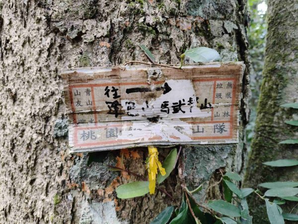 外鳥嘴蓮包山O縱2893167