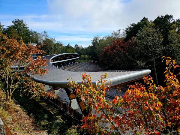 台灣難抵極與祝山觀日步道(小笠原山) - 2024嘉遊好步道．來嘉走走2670118