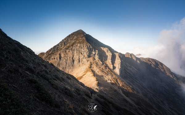 心映雪翠｜Mt.Xue｜Taiwan 785806