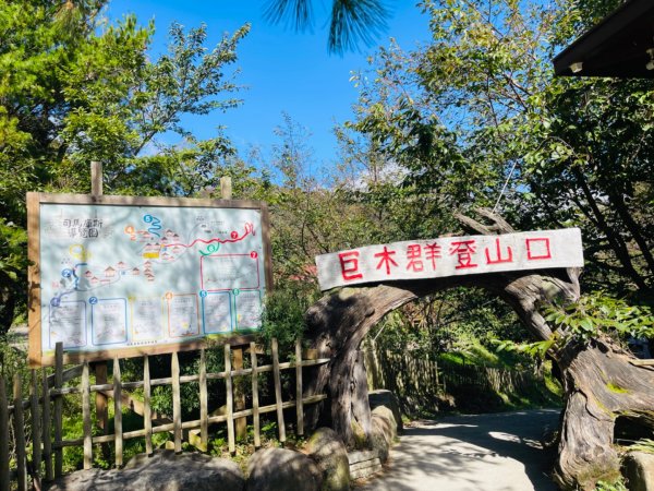 1140825司馬庫斯新巨木園區-司立富瀑布-部落觀景台2871238