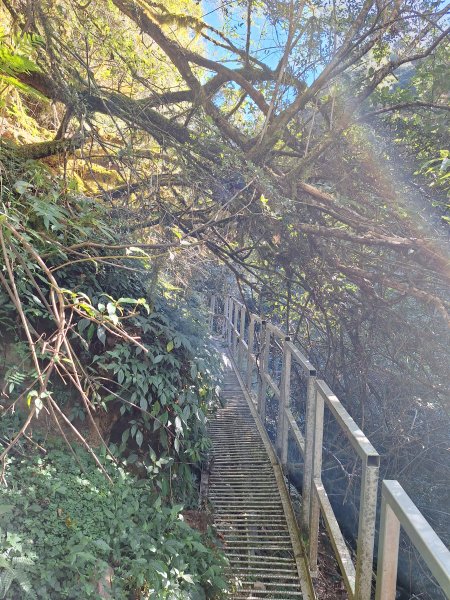 石山引水道202512112959561