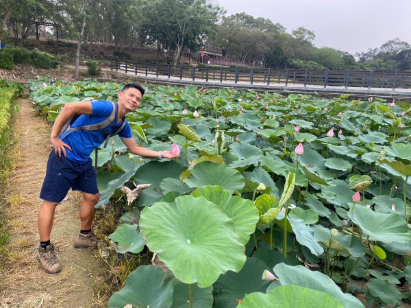 枕頭山.水火同源.關子嶺.蓮花公園【吃荷玩勒在白河】2163344