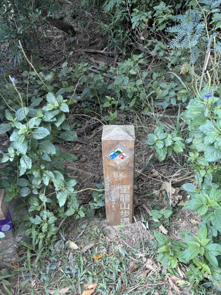 20251213屏東里龍山2961258