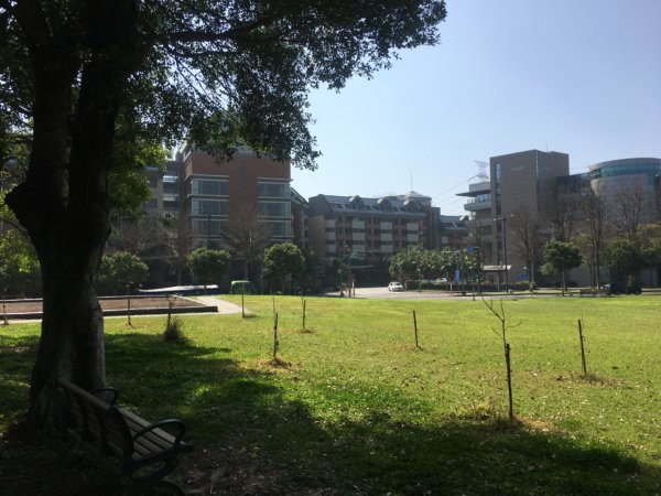 福氣步道、養生步道、長庚養生文化村2441873