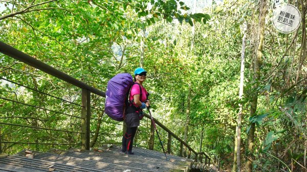 阿里山山脈越嶺步道大串走D3543730