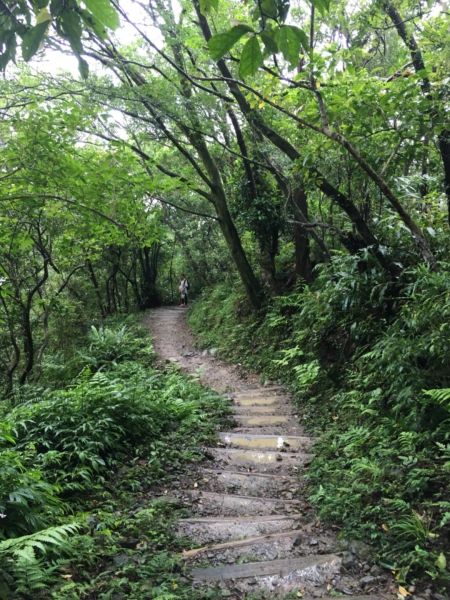 朝聖之旅-聖母登山步道394124