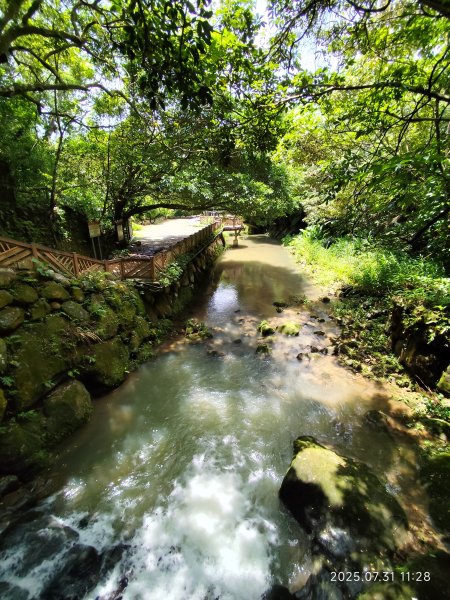 圓覺寺步道→新福本坑→碧湖步道→碧山公園→國立臺灣戲曲學院→碧湖公園→大港墘公園【臺北健走趣】2849246