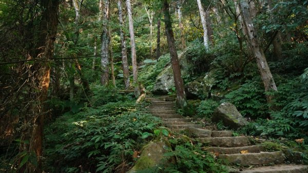 神仙縱走(仙山至神桌山)1252490