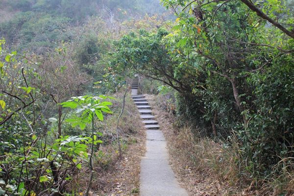 大社觀音山O型368768