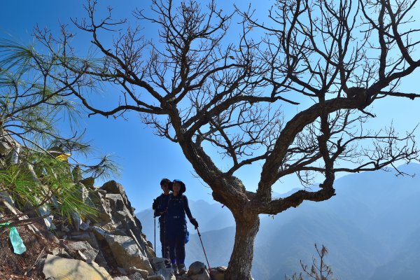 德芙蘭步道- 東南稜-東卯山O型縱走1269304