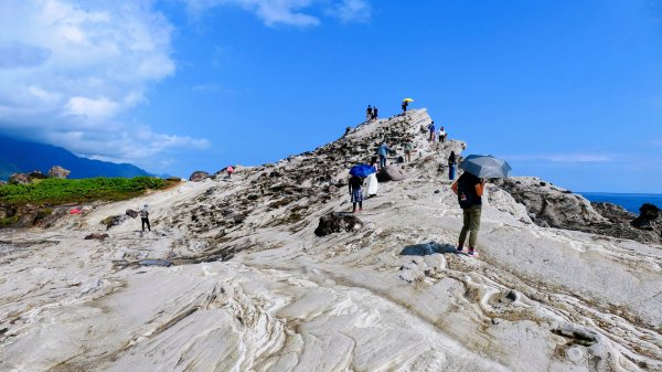 洄瀾東海岸3006669