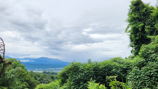 【南投民間】松柏嶺步道連走松柏坑山2601703