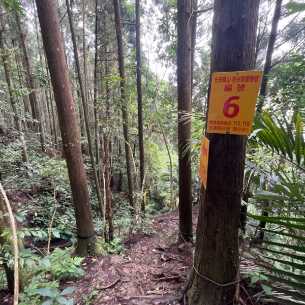 20250421_向天湖山步道（苗栗小百岳）2855803