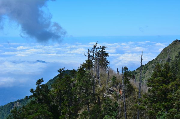 郡大山1902233