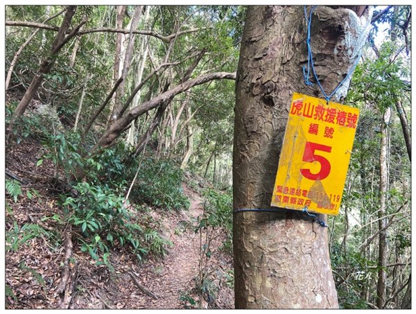 虎山、水雲三星之首 ( 苗栗、泰安 )2977389
