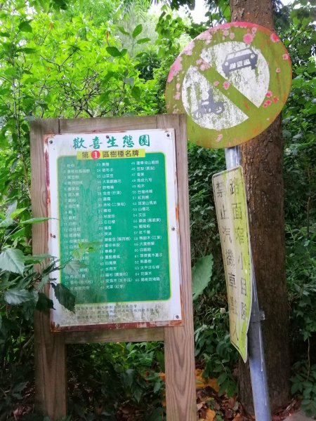 彰化~森林fu~桃源里森林步道988801