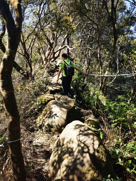 二格山越嶺貓空2735628