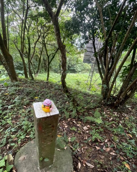 烏月山群峰--向天湖古道2515280