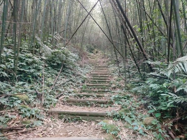 馬那邦山(小百岳編號037)720094