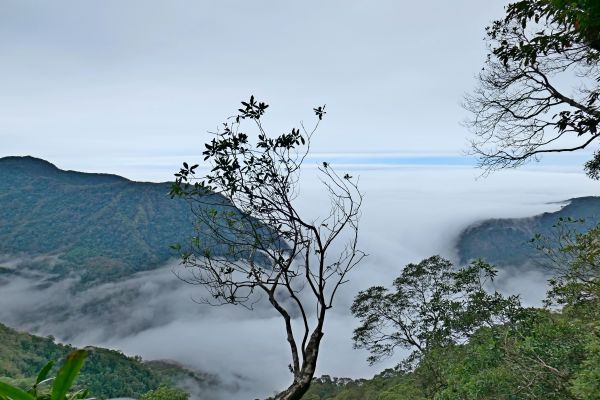 再訪上島山〈鳥嘴山〉 2017/11/25   212835